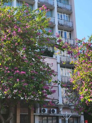 Security Aluminum Casement Windows Wind Pressure Resistance Excellent