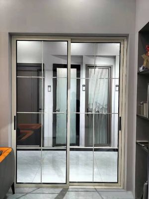 Weatherproof Aluminium Sliding Fly Screen Door For Home / Office